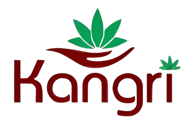 logo-removebg-preview